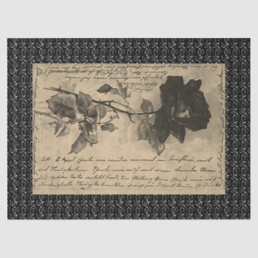 HALLOWEITE BLACK-ROSE SEIDENPAPIER (Vorderseite)