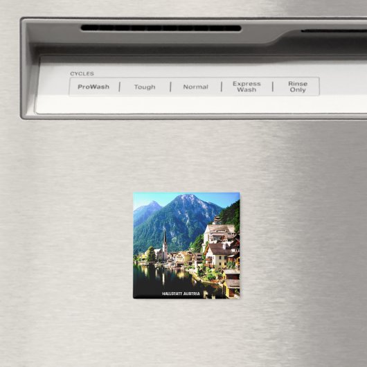 HALLSTATT ÖSTERREICH MAGNET (In Situ (Geschirrspüler))