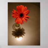 Halo Daisy Poster (Vorne)