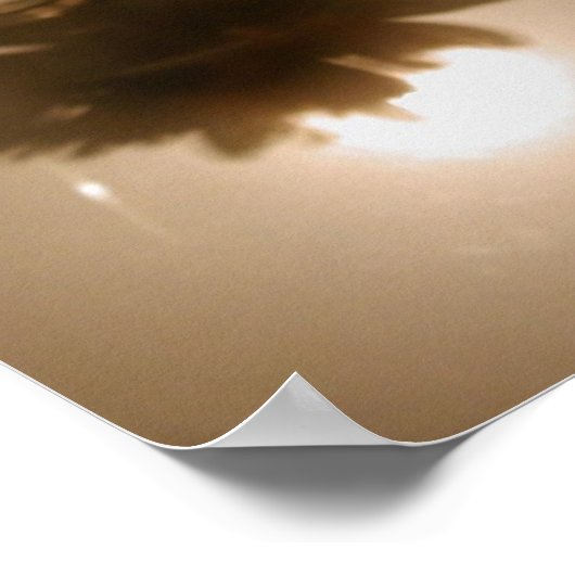 Halo & Silhouette Daisy Poster (Ecke)