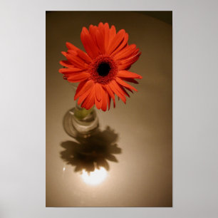 Halo & Silhouette Daisy Poster