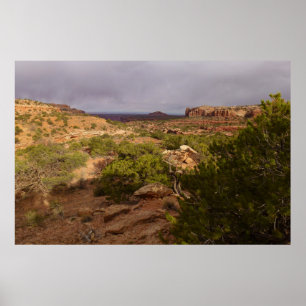 Hals-Frühlings-Spur an Canyonlands Nationalpark Poster