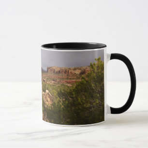 Hals-Frühlings-Spur an Canyonlands Nationalpark Tasse