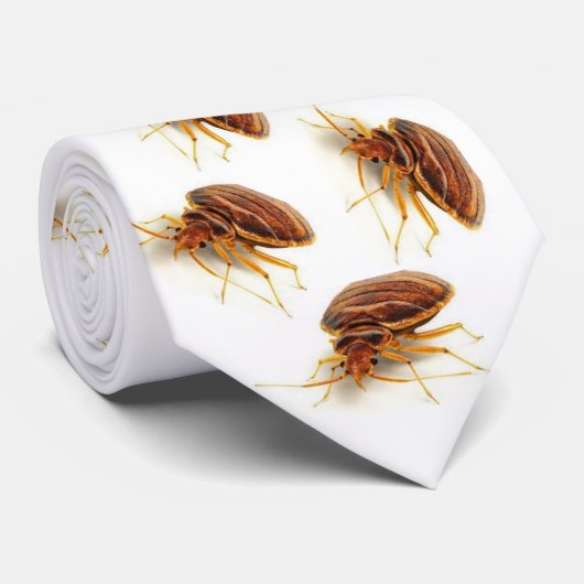 Hals-Krawatte - Cimex lectularius (Bettwanze) Krawatte (Gerollt)