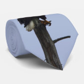 Hals-Krawatte mit Adler Krawatte (Gerollt)