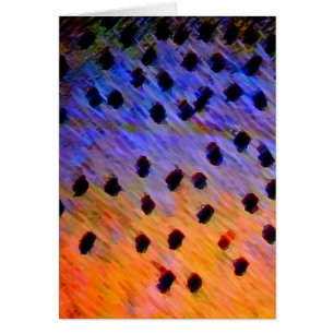 Halsabschneiderische Forelle - Karte