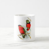 Halsbandsittich Kaffeetasse (Mittel)
