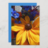 Halse (Vorne/Hinten)