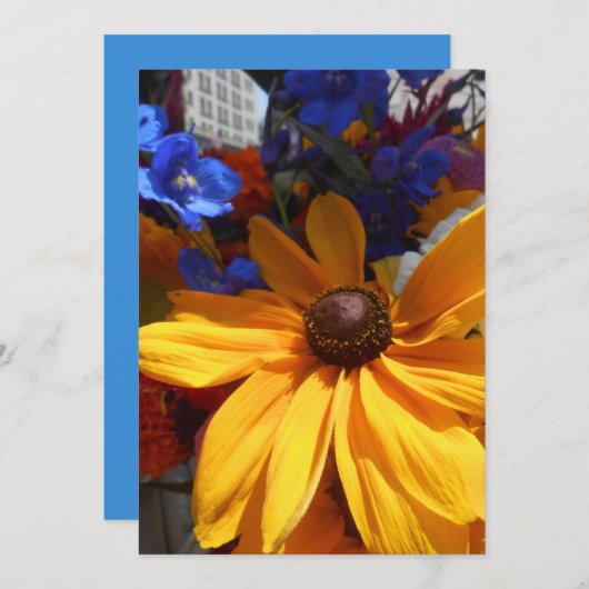 Halse (Vorne/Hinten)