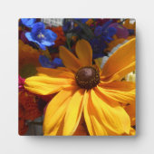 Halse Fotoplatte (Vorderseite)