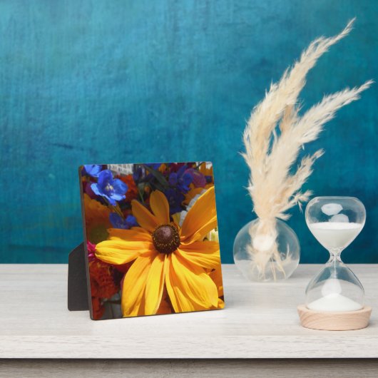 Halse Fotoplatte (InSitu)