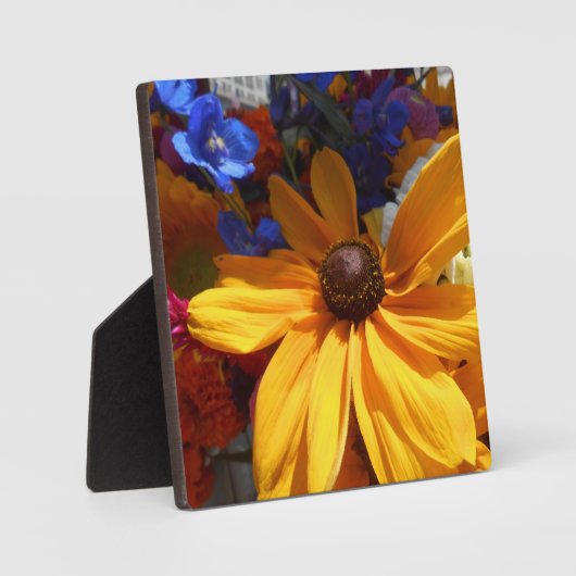 Halse Fotoplatte (Vorderseite)