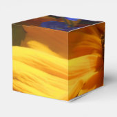 Halse Geschenkschachtel (Rückseite)