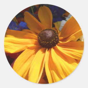 Halse Runder Aufkleber