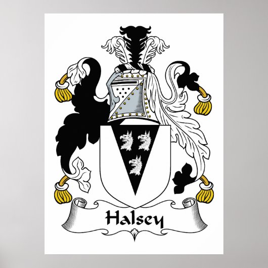 Halsey Familienwappen Poster (Vorne)