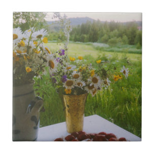 Hälsingland - Schweden Fliese