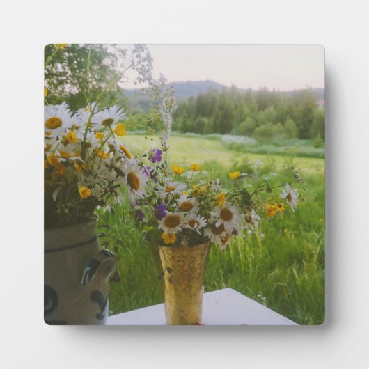 Hälsingland - Schweden Fotoplatte (Vorderseite)