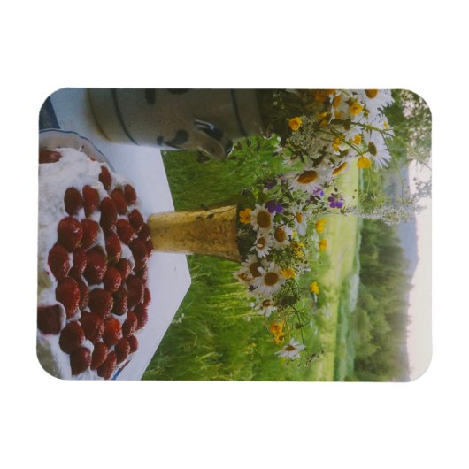 Hälsingland - Schweden Magnet (Horizontal)