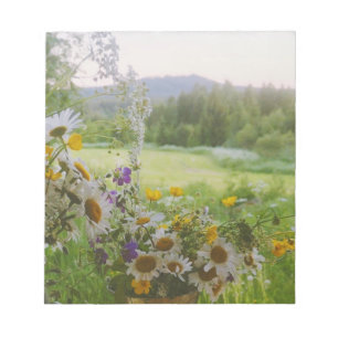 Hälsingland - Schweden Notizblock