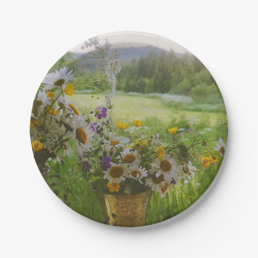 Hälsingland - Schweden Pappteller (Vorderseite)