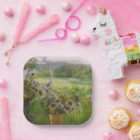 Hälsingland - Schweden Pappteller (Party)