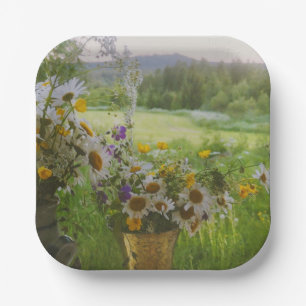 Hälsingland - Schweden Pappteller