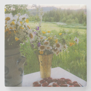 Hälsingland - Schweden Steinuntersetzer