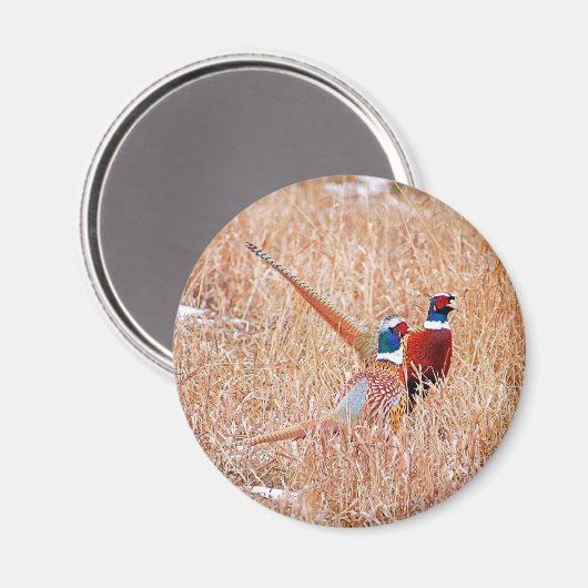 Halsschmerzen Magnet (Vorderseite/Rückseite)