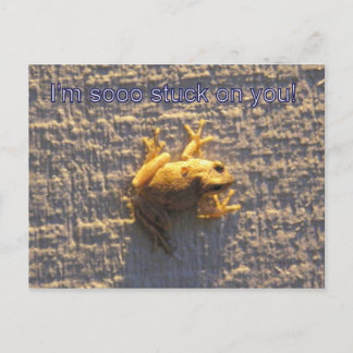 Halt dich fest postkarte