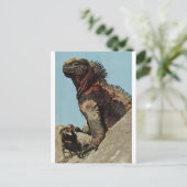 Halt dich fest - postkarte (Stehend Vorderseite)