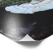 Haltbarkeit Fotodruck (Ecke)