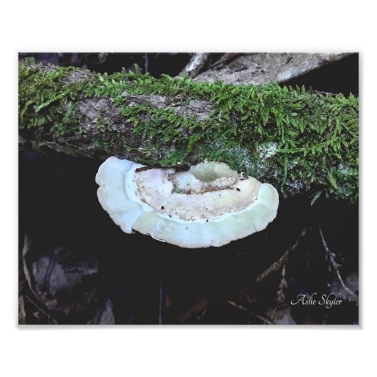 Haltbarkeit Fotodruck (Vorne)