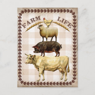 Haltbarkeit Vintag Landkarte Postkarte