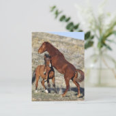 halten postkarte (Stehend Vorderseite)