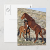 halten postkarte (Vorne/Hinten)