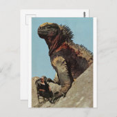 Halten Sie fest - Postkarte (Vorne/Hinten)