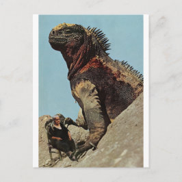 Halten Sie fest - Postkarte