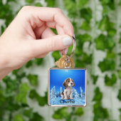 Halten Sie Personalisiert Ihr Haustier Katze Lover Schlüsselanhänger (Hand)