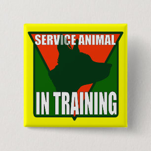 HALTEN SIE TIERtraining INSTAND Button