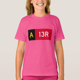 Haltepunkt Zeichen A13R T-Shirt