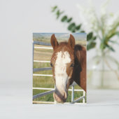 Halter frei postkarte (Stehend Vorderseite)