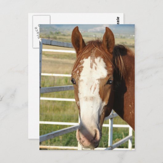 Halter frei postkarte (Vorne/Hinten)