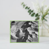 Halter-Sammlung Postkarte (Stehend Vorderseite)