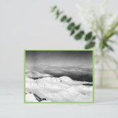 Halter-Sammlung Postkarte (Stehend Vorderseite)