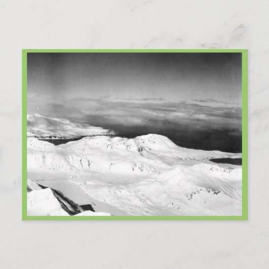 Halter-Sammlung Postkarte (Vorderseite)