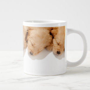 Haltung Golden Retriever Welpen Jumbo-Tasse