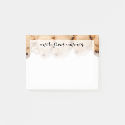 Haltung Golden Retriever Welpen Post-it Klebezettel (Vorderseite)