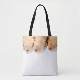 Haltung Golden Retriever Welpen Tasche