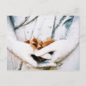 Haltung Postkarte (Vorderseite)