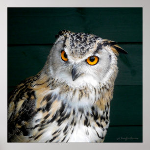 'Haltung' - Schale Poster